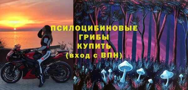 СК Кулебаки