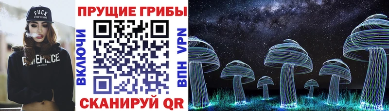 Псилоцибиновые грибы мицелий  Купить где  Георгиевск 